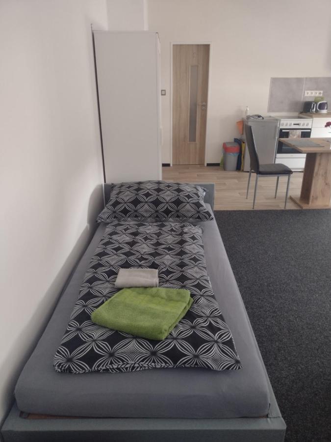 Apartmány Borská 30 Karlovy Vary Kültér fotó