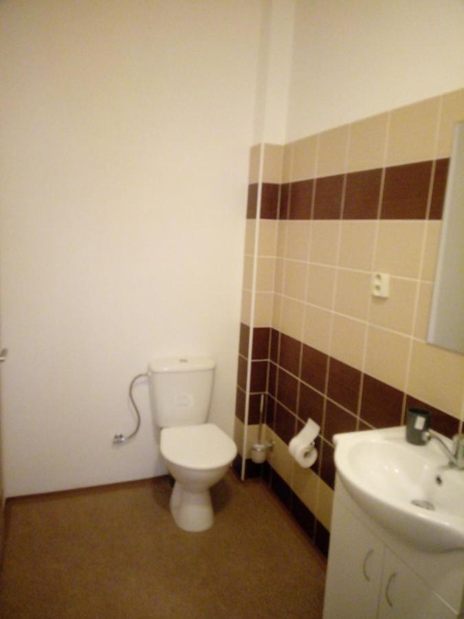 Apartmány Borská 30 Karlovy Vary Kültér fotó