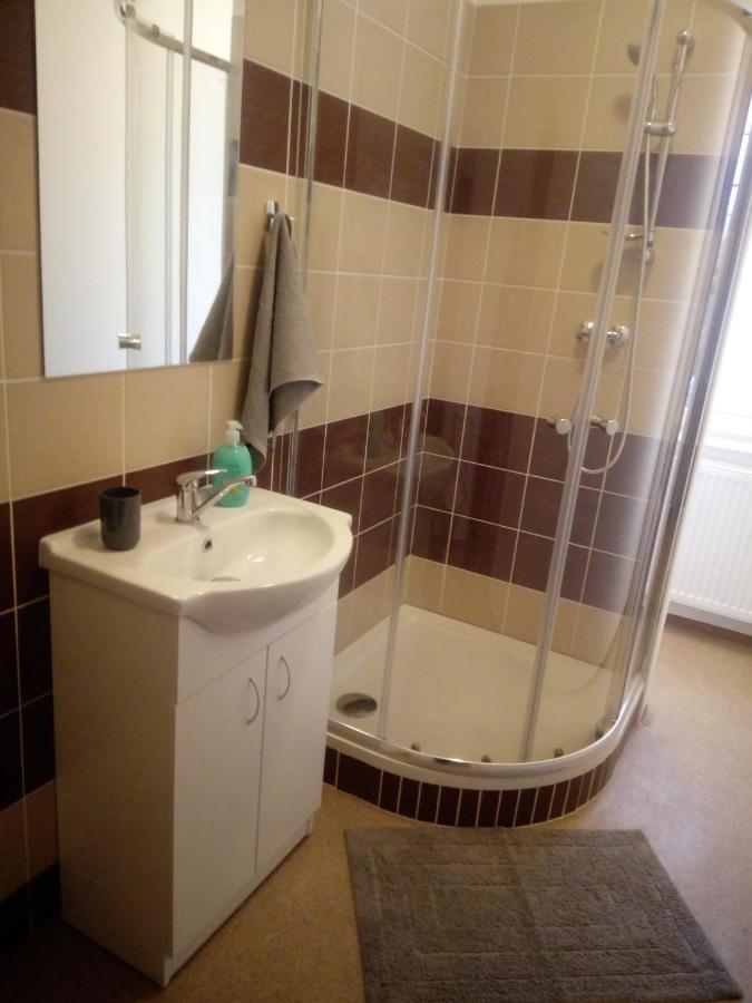 Apartmány Borská 30 Karlovy Vary Kültér fotó