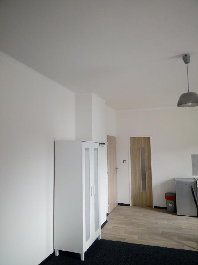 Apartmány Borská 30 Karlovy Vary Kültér fotó